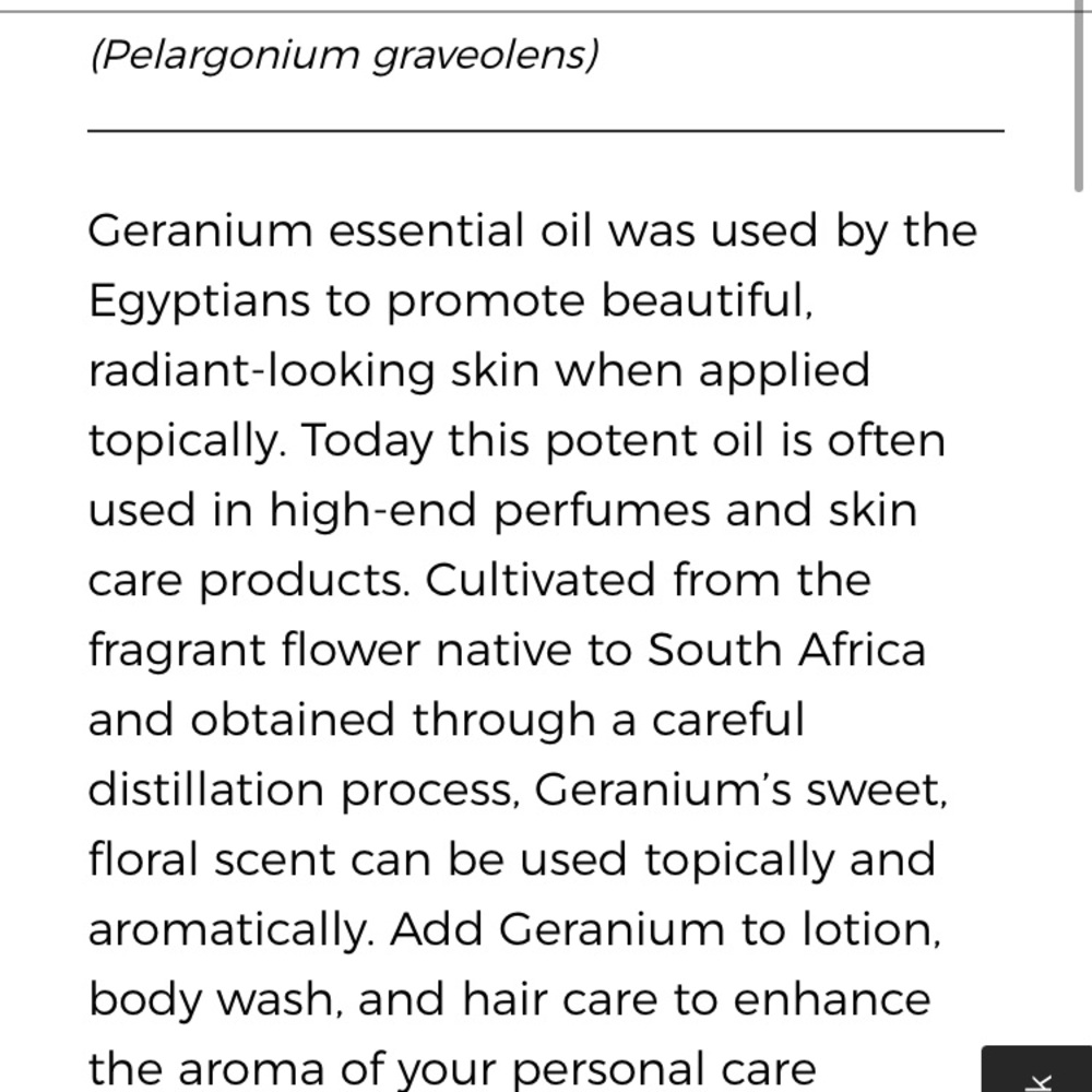 💖 YL Geranium EO - Picture 2 of 11